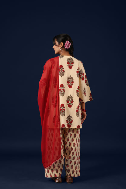 Women’s Cotton Straight Kurta Set with Dupatta