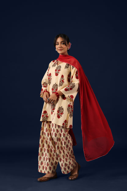 Women’s Cotton Straight Kurta Set with Dupatta