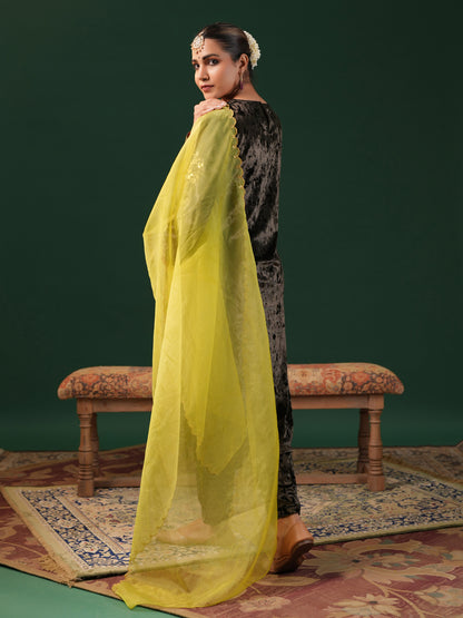 Women's Grey Embroiderd Velvet Kurta Set with Dupatta