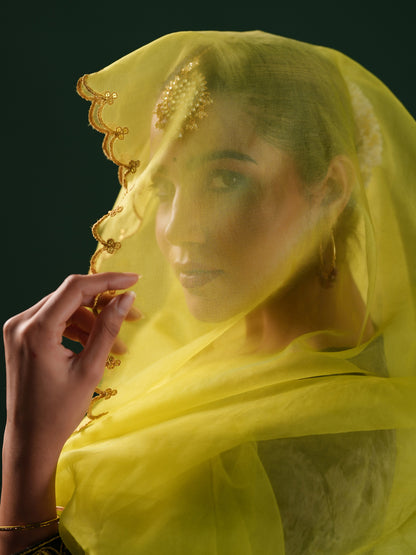 Women's Grey Embroiderd Velvet Kurta Set with Dupatta